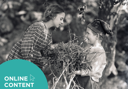 HippFest at Home | Fante-Anne