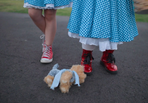 It's Dorothy! (Special Preview Screening) Cert 13+